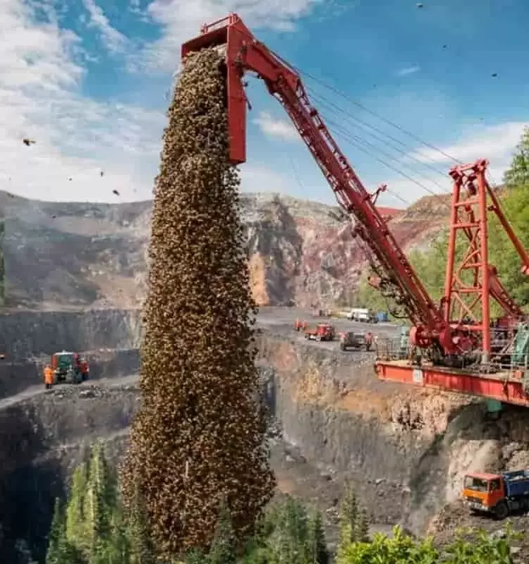 La metamorfosis agrícola en España: El auge de los cultivos subtropicales orgánicos