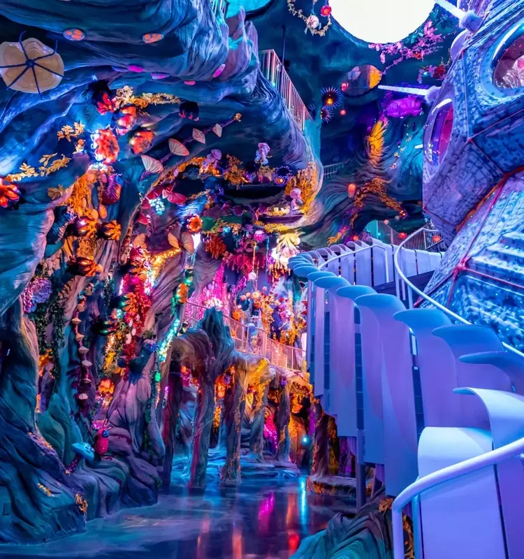 Meow Wolf Appoints New CEO After Extensive Search
