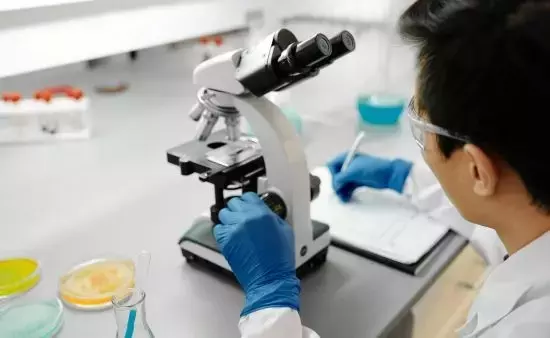 La Fundación Ramón Areces Impulsa la Investigación Científica Española con Nuevas Ayudas para Proyectos