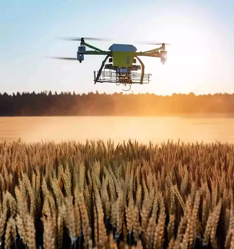 Revolución Agrícola: Drones, ADN y Clima para la Predicción de Enfermedades