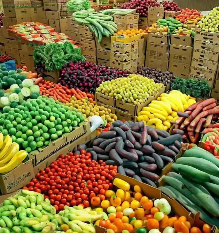 Siete Árboles Frutales Fáciles de Cultivar en Casa y Disfrutar Todo el Año