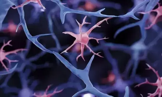 Nuevos horizontes en la lucha contra el Alzheimer: El metabolismo astrocitario como clave terapéutica
