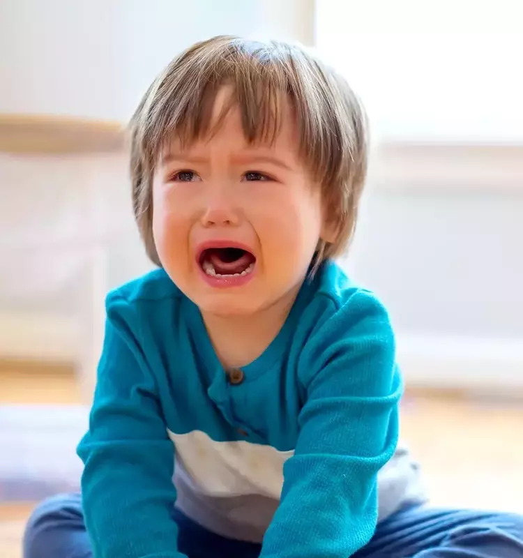 The 'Jessica' Method: A Viral Strategy for Calming Toddler Tantrums