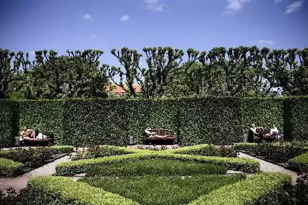 Factores Ambientales y Sociales Modulan el Envejecimiento Cerebral