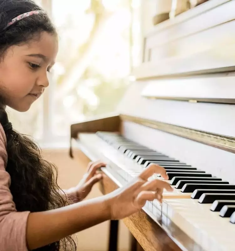 Vocal Training: Physiology, Technique Development, and Pedagogical Structure