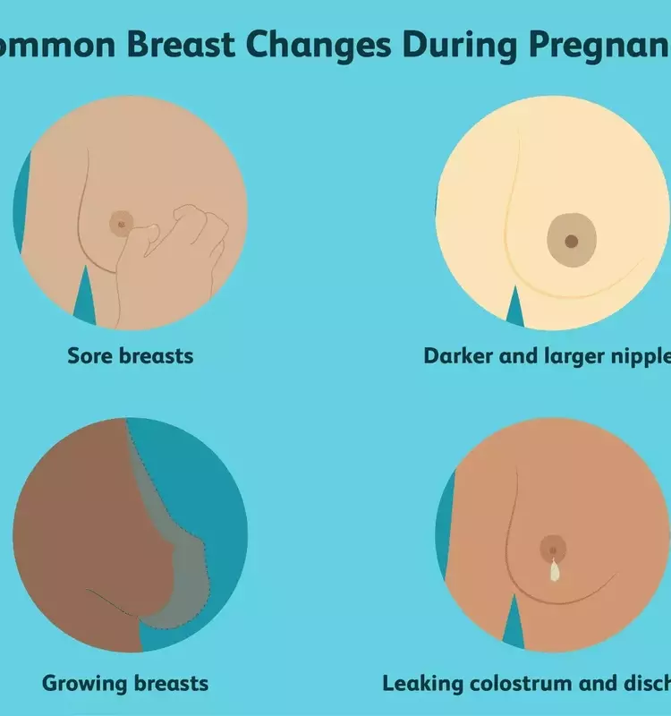 Understanding Breast Transformations During Pregnancy: A Comprehensive Guide