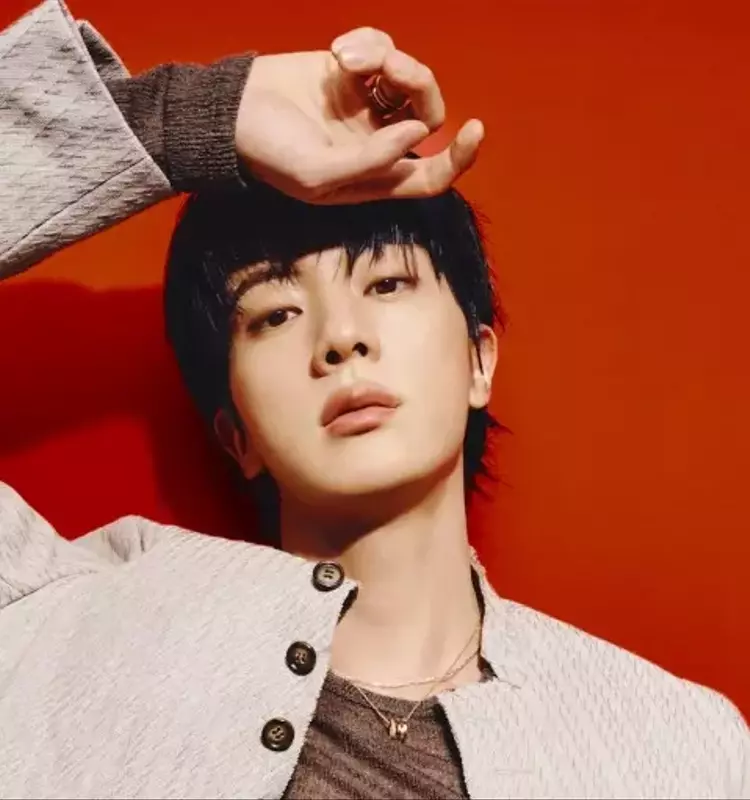 Jin's Musical Journey: From Solo Aspirations to BTS Unity