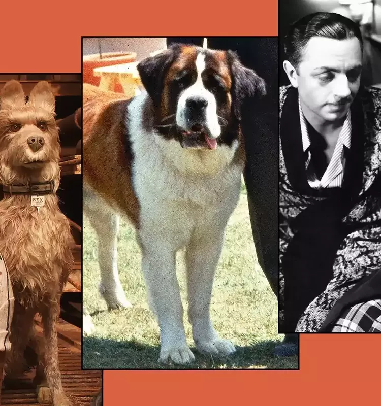 A Cinematic Salute to Man's Best Friend: Celebrating Unforgettable Dogs on Screen