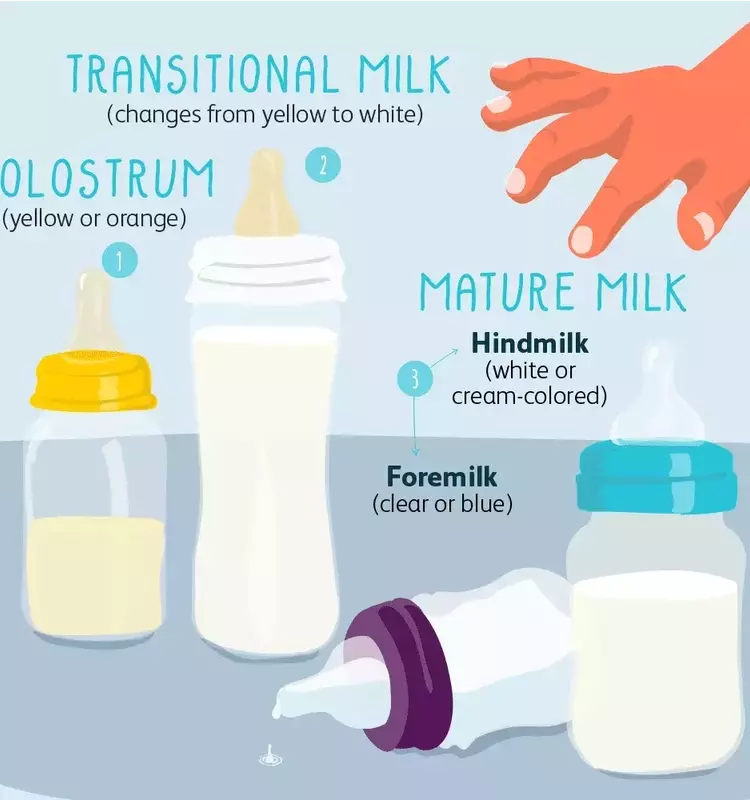 Understanding the Diverse Hues of Breast Milk: A Comprehensive Guide