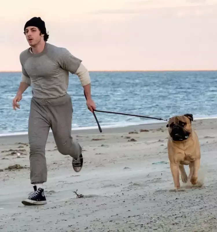 New Film Reveals Sylvester Stallone's Fight to Star in 'Rocky'