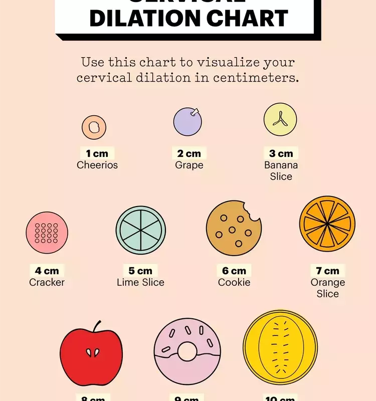 Understanding Cervical Dilation During Childbirth: A Visual Guide
