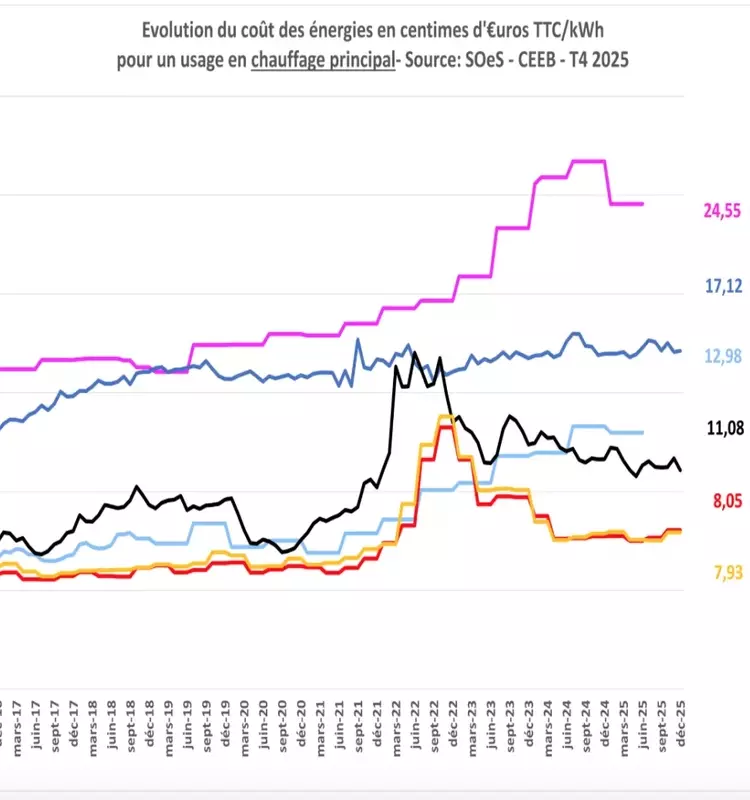 La filière française du granulé de bois en plein essor en 2025