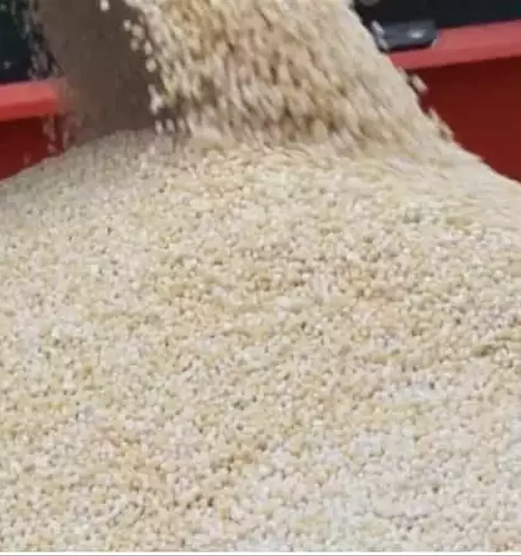 La Crisis de Fertilizantes Impulsa Alternativas de Nutrición Agrícola