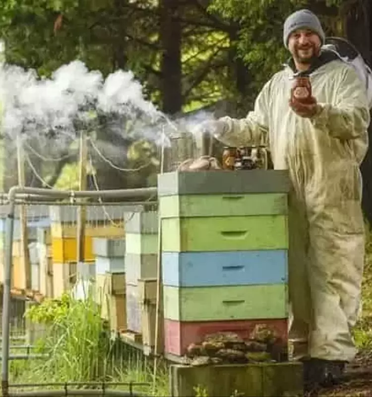Xesús Graña: El Guardián de un Santuario Apícola con Diez Millones de Abejas en Galicia