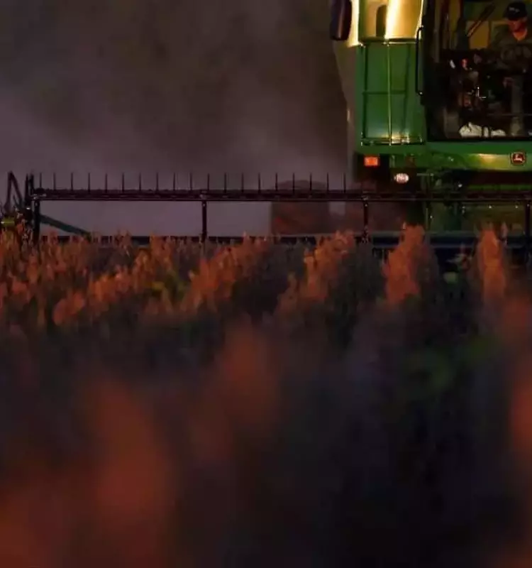 Lluvias en Argentina: Impacto en la Cosecha y el Potencial de los Cultivos