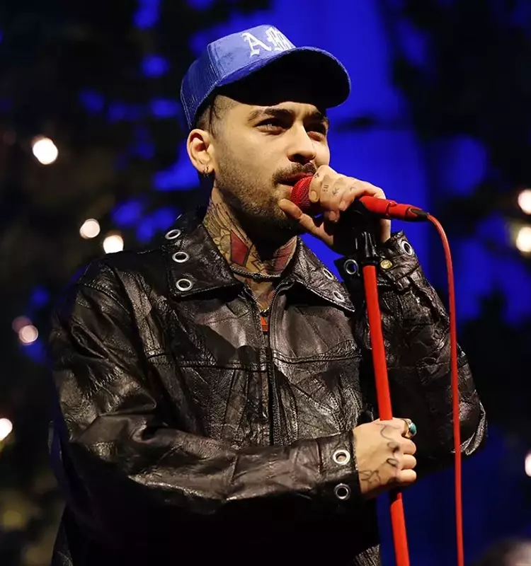 Zayn Malik Postpones Appearances Due to Undisclosed Medical Condition