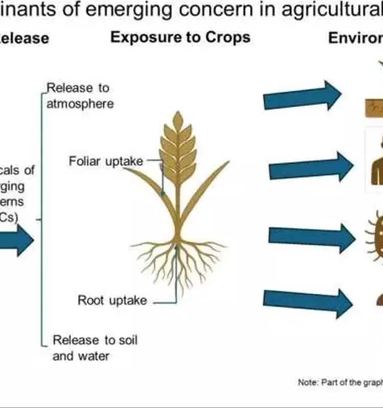 Alertan sobre Contaminantes Emergentes en Cultivos: Riesgos Silenciosos para Salud y Agricultura