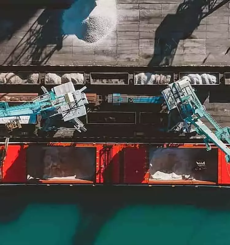 Los Desafíos Actuales de los Fertilizantes Minerales en Europa: Energía, Recursos y Mercado Global