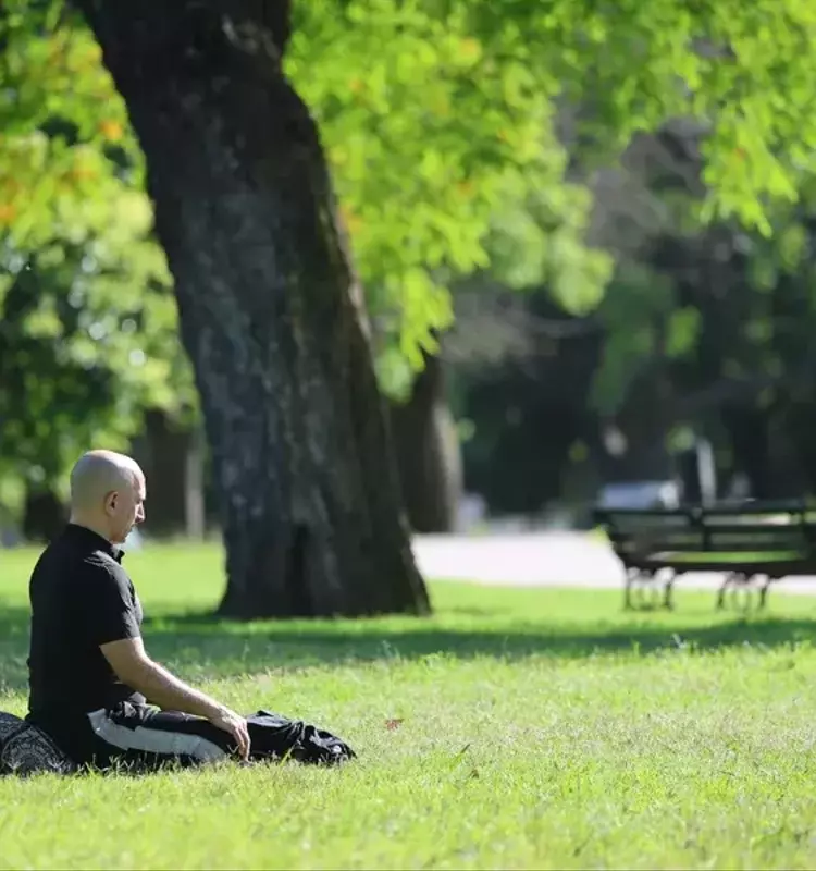 Detenerse y reflexionar: La clave para combatir el "s￭ndrome de la vida ajetreada"