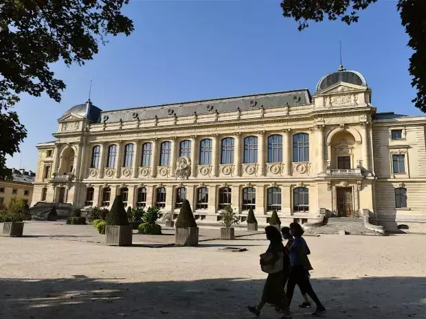 Le Muséum National d'Histoire Naturelle en Péril : Un Appel Urgent à la Restauration