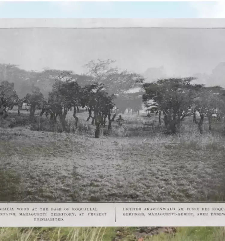 Documentary Film “Uganda” Wins Top Award at Visions du Réel Industry Event