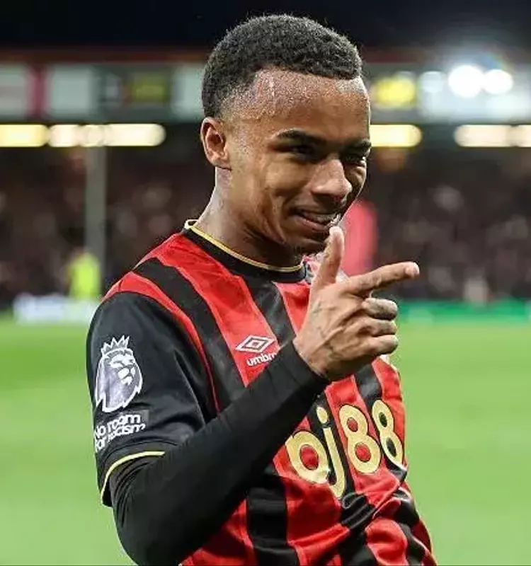 Bournemouth's European Aspirations: A Deep Dive into a Season of Near Misses and Rising Stars