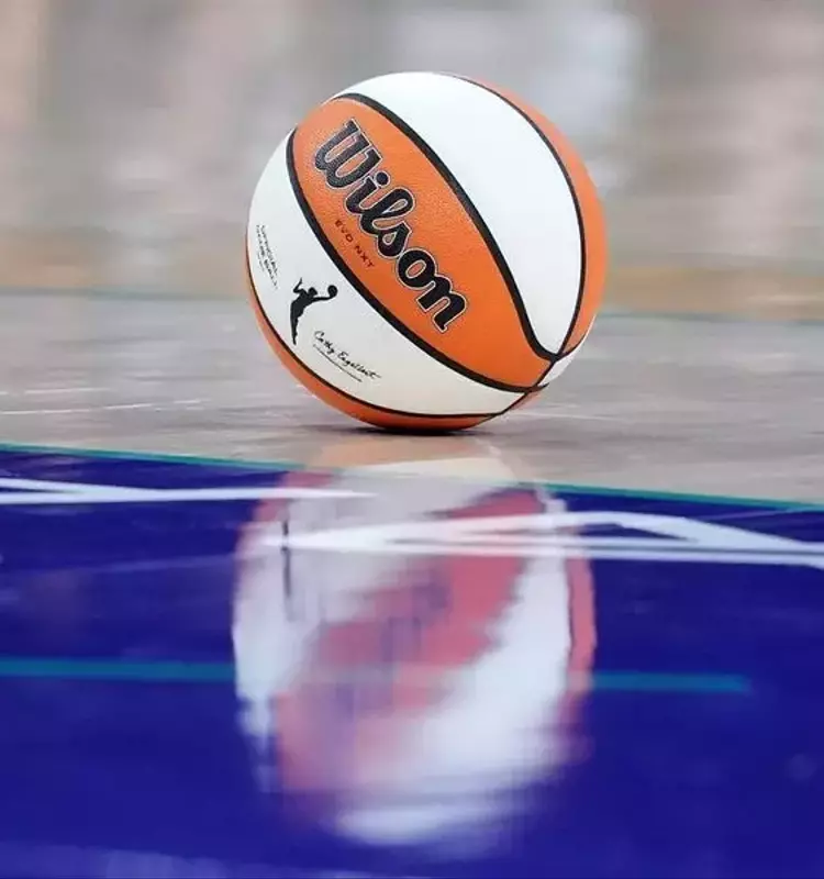 WNBA Sets New Broadcast Record with 216 National Games