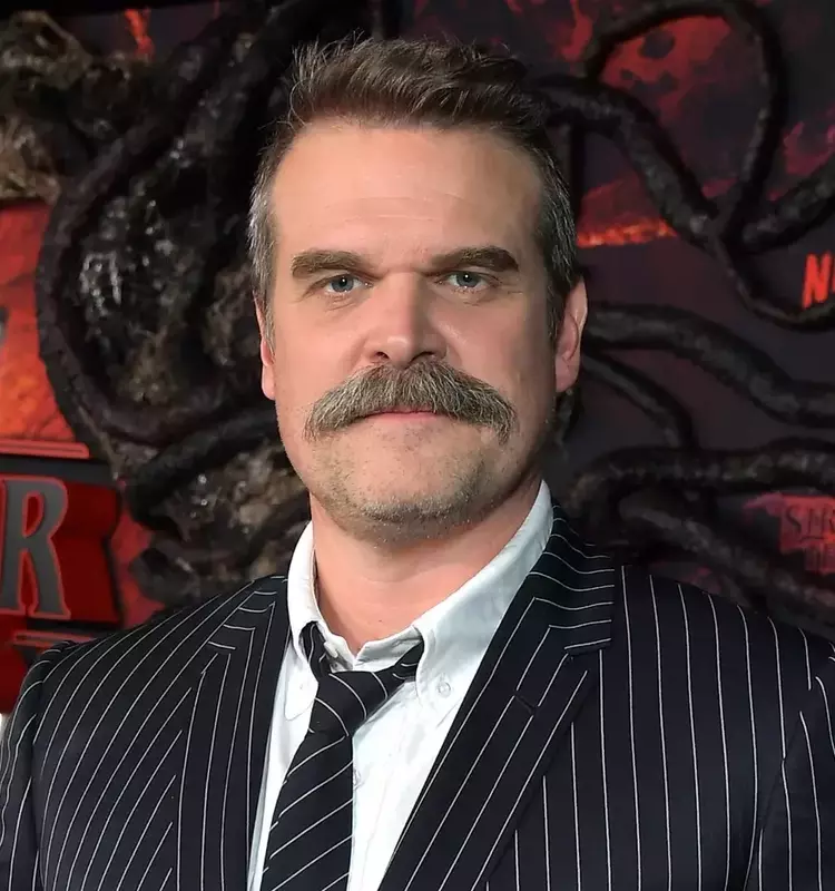 David Harbour Discusses Mental Health Journey and Therapeutic Progress