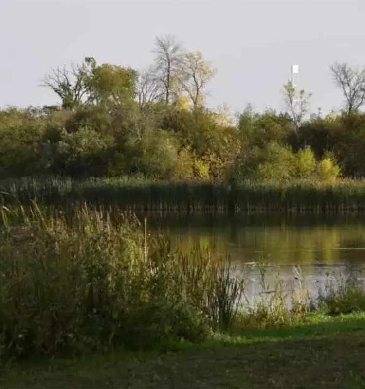 Urea y su Impacto en la Calidad del Agua: Un Estudio Revelador en las Praderas Canadienses