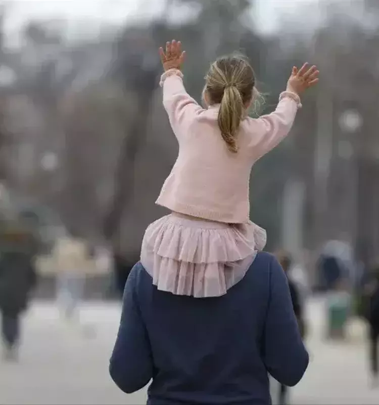 Sistemas Educativos y Desarrollo Cerebral: Un Vínculo Revelado