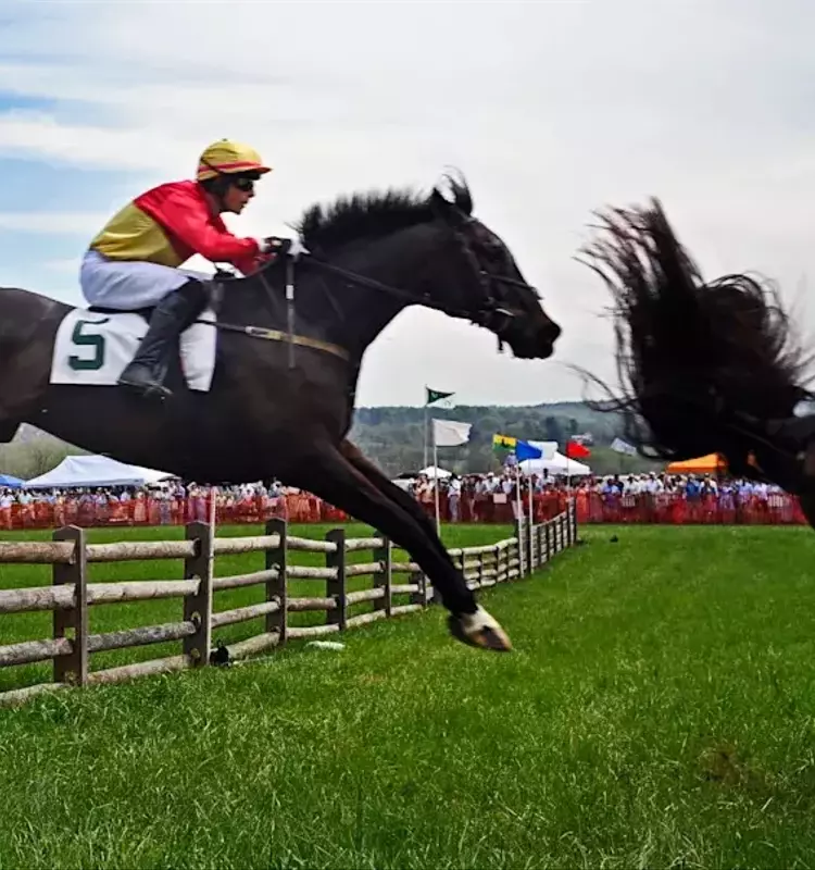 Maryland Hunt Cup: A Test of Bravery and Skill
