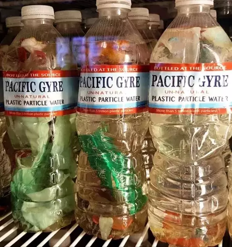 Vitaminas D y B9: Un Escudo contra los Contaminantes Plásticos y su Impacto en la Salud