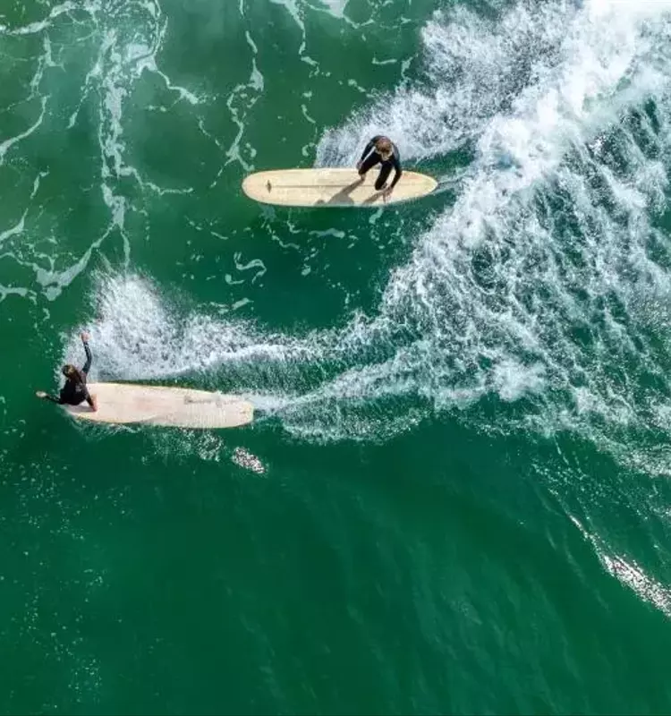 Shark Sighting Halts World Surf League Competition in Huntington Beach