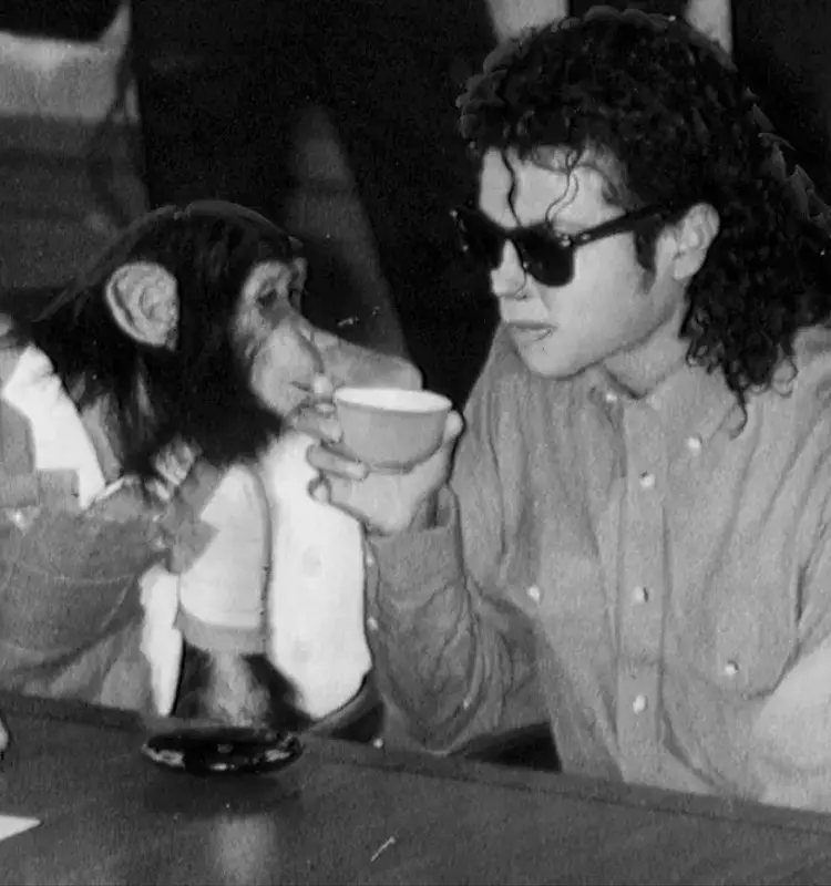 Michael Jackson's Chimpanzee Bubbles: A Peaceful Life and CGI Portrayal in Biopic