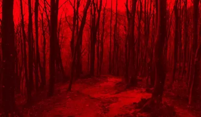 “Avevo due paure”: Un documentario sulla Liberazione d'Italia tra passato e presente