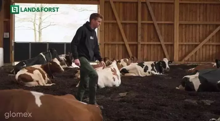 Establo de Compost: Innovación para el Bienestar Bovino y la Eficiencia Rural