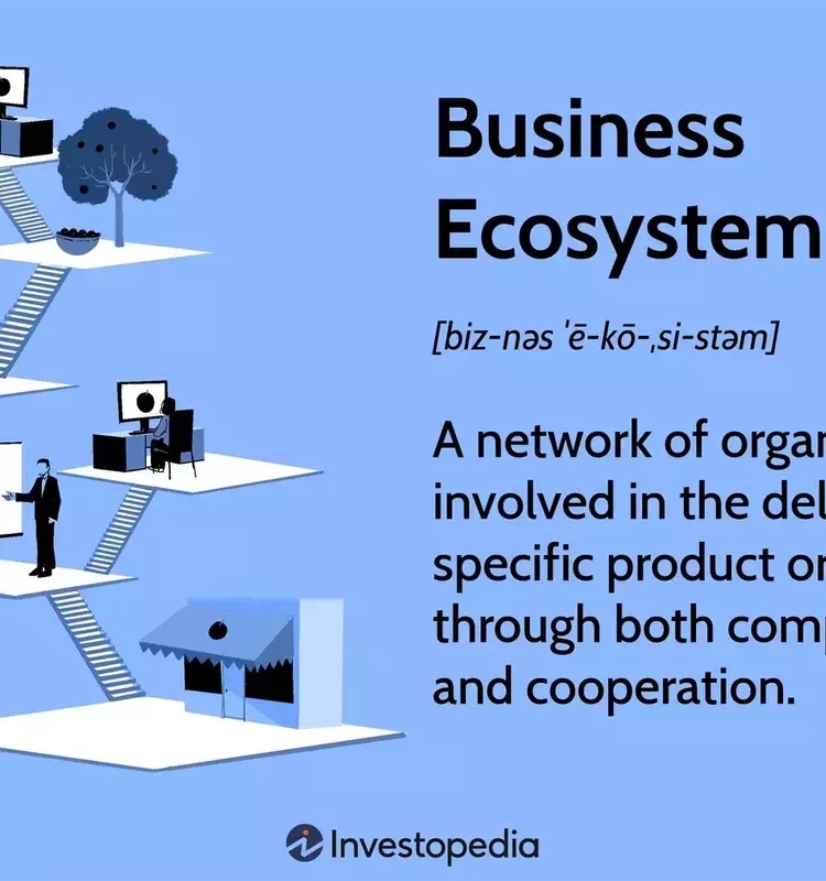 Understanding Business Ecosystems: Collaboration, Competition, and Evolution