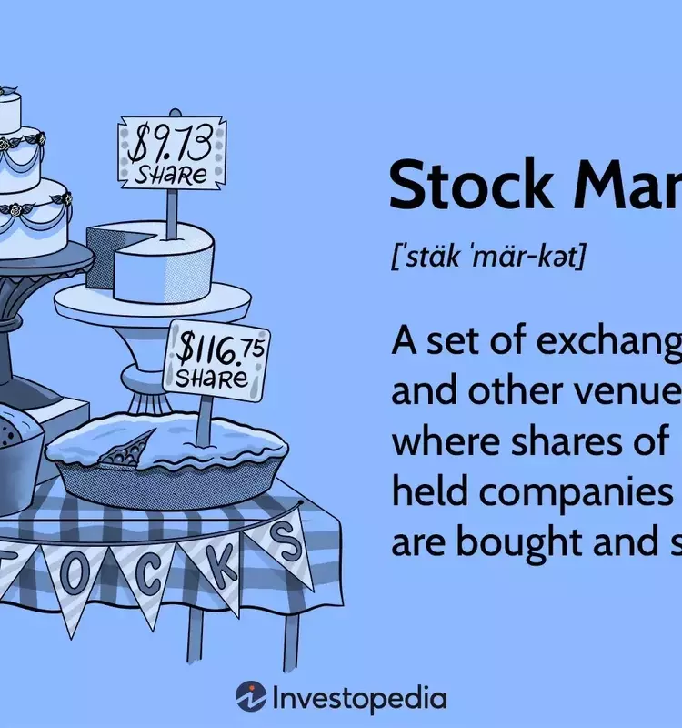 Understanding the Stock Market: Function, Participants, and Economic Impact