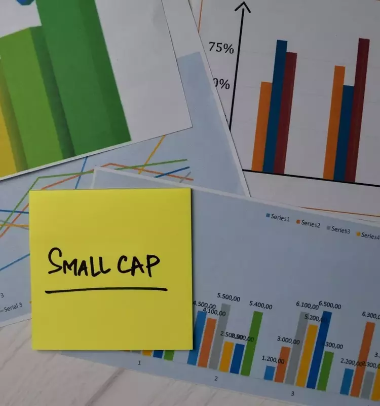 Brown Advisory Small-Cap Fundamental Value Strategy: Q1 2026 Performance Overview