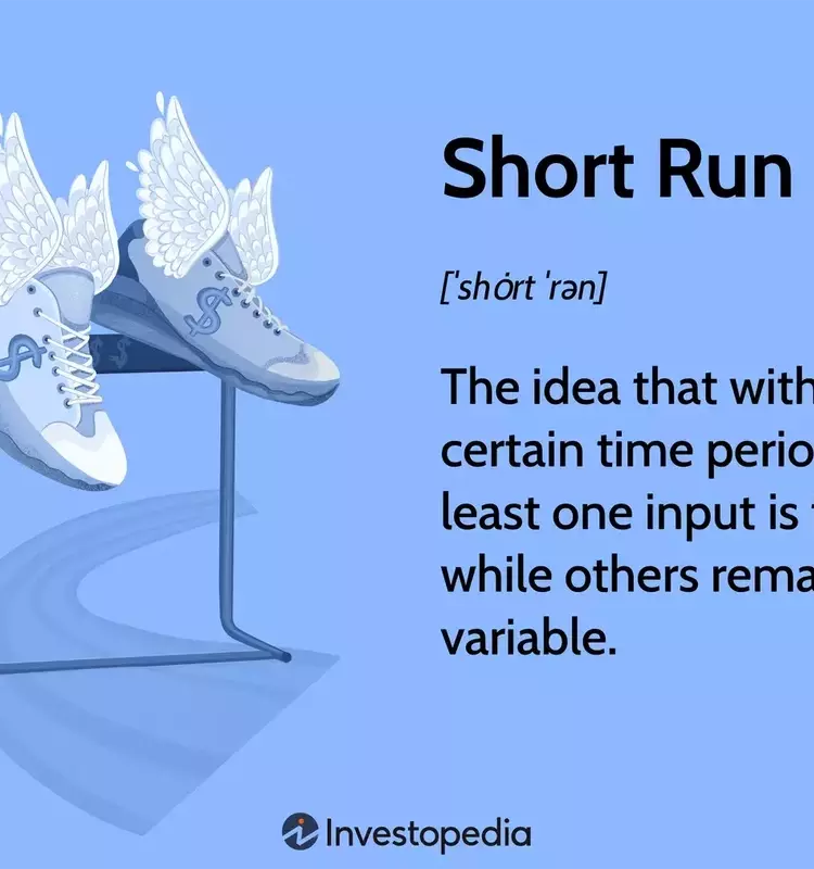 Understanding the Short Run in Economics: Fixed Inputs and Business Strategies