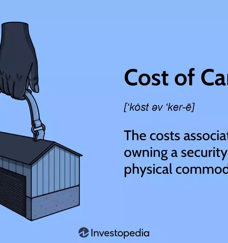 Understanding the Cost of Carry in Financial Investments