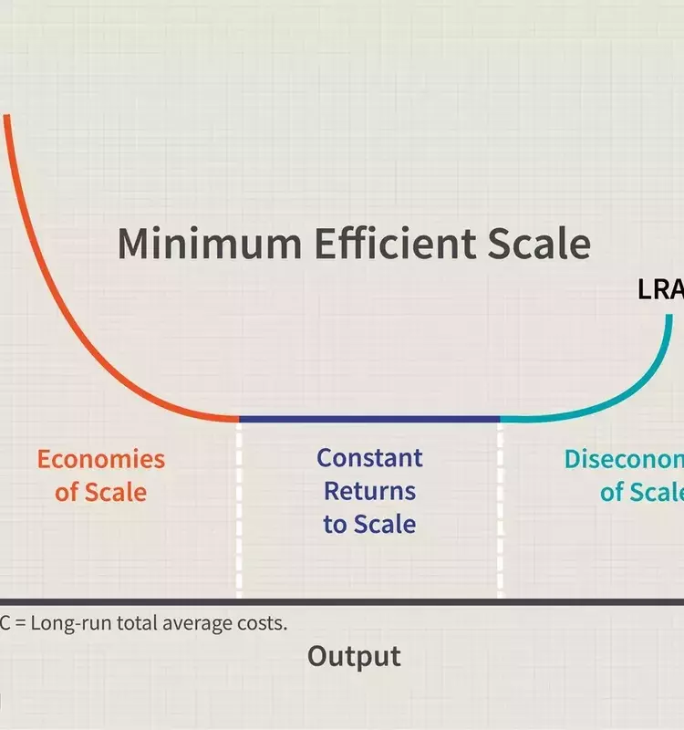Understanding Minimum Efficient Scale in Business