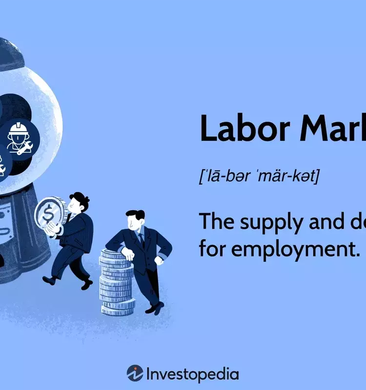 Understanding the Dynamics of the Labor Market: A Comprehensive Analysis