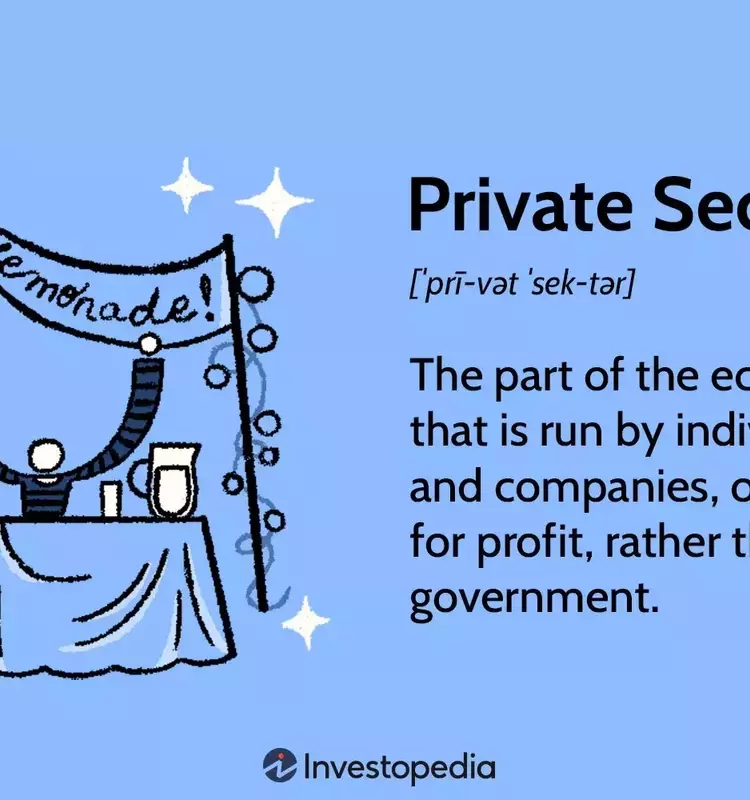 Understanding the Private Sector: Operations, Types, and Distinctions from the Public Sector