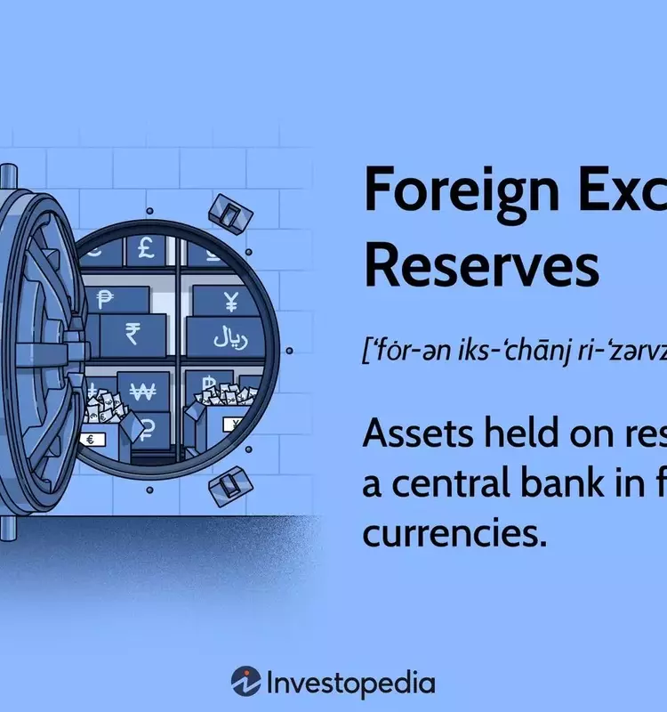 Understanding Foreign Exchange Reserves