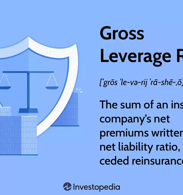 Understanding the Gross Leverage Ratio in Insurance