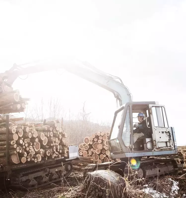 West Fraser Timber Faces Challenges Amidst Lumber Market Weakness