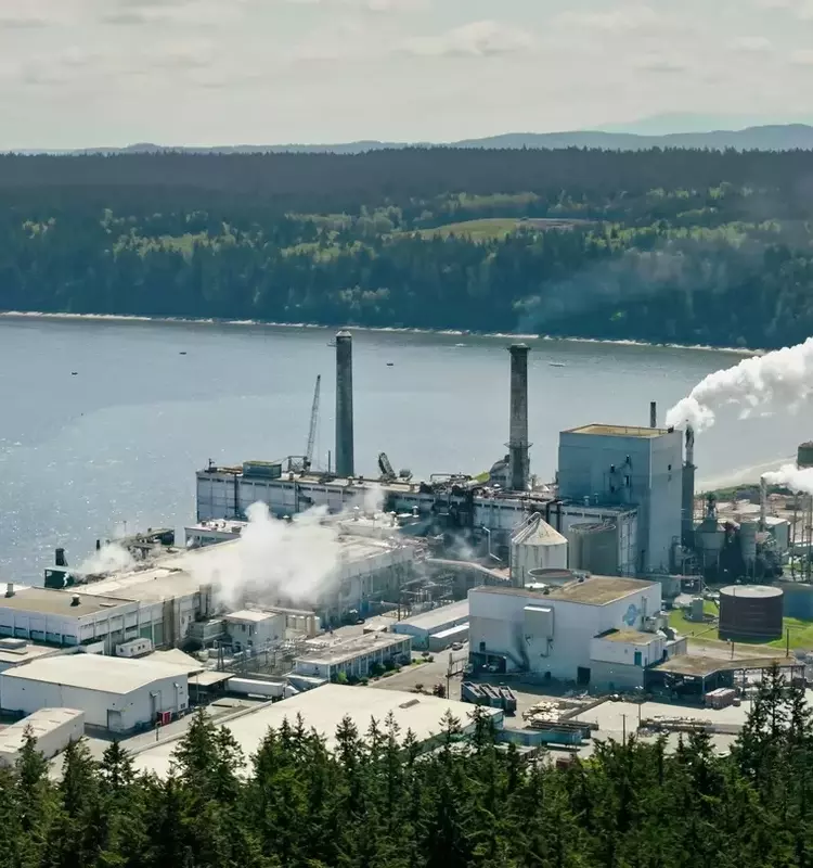 Smurfit Westrock's Q1 Performance and Future Outlook