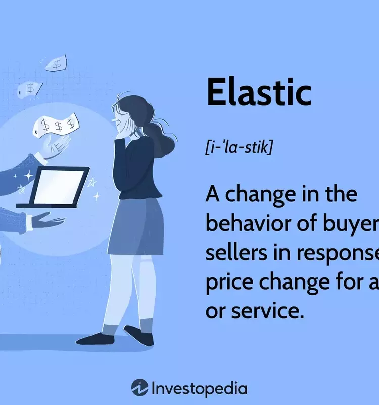 Understanding Elasticity in Economics: A Comprehensive Guide