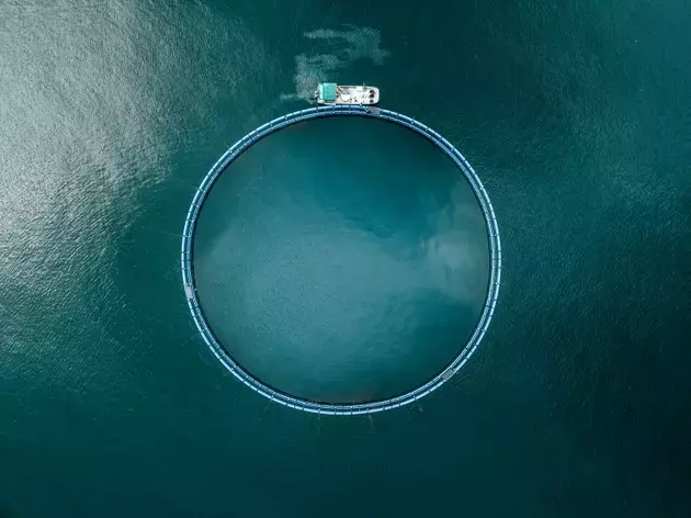 Xylem's Valuation: A Deeper Dive into Growth and Financial Health